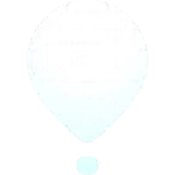 Loon